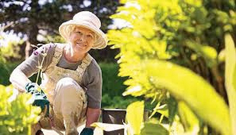 Older adult enjoying gardening activities outdoors